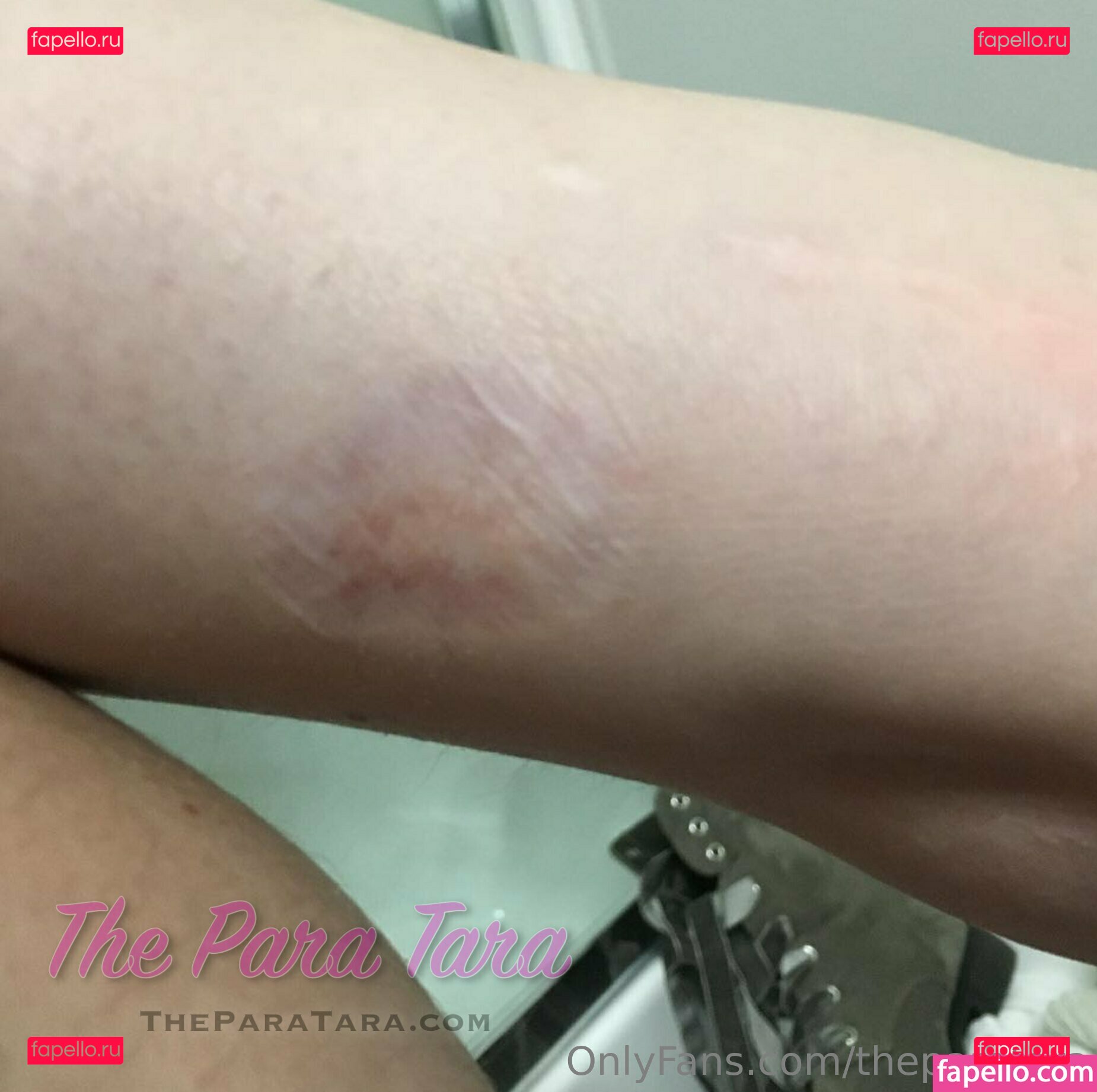 theparamara Nude Onlyfans Photo 58
