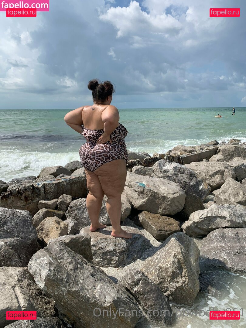 bbw_babee962 Nude Onlyfans Photo 19