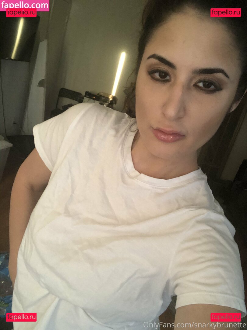 sarcasticbrunettes.library Nude Onlyfans Photo 31