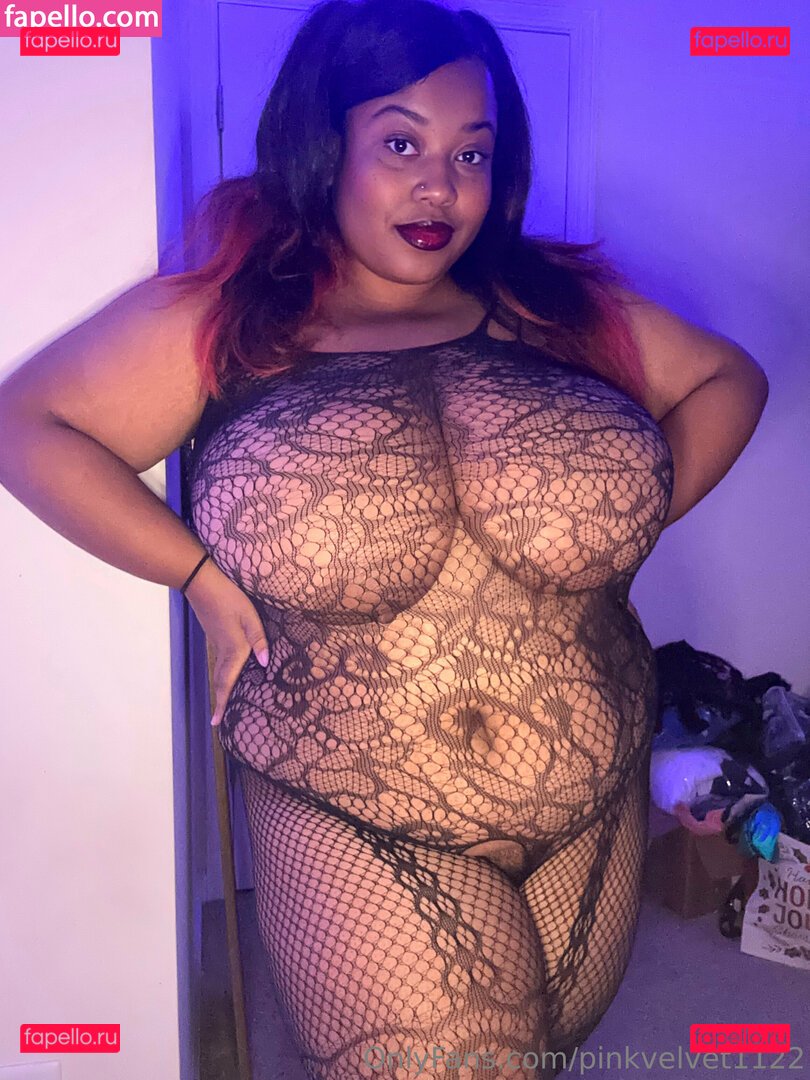 pinkvelvet Nude Onlyfans Photo 21