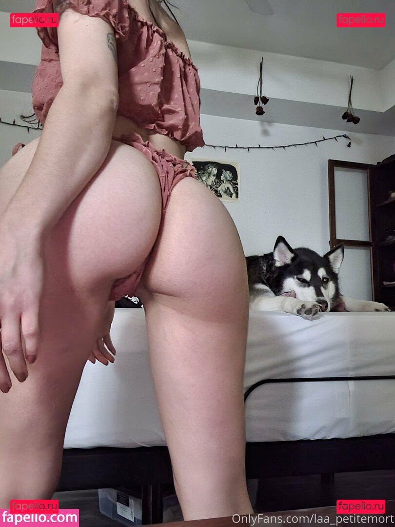 laa_petitemort Onlyfans Photo Gallery 