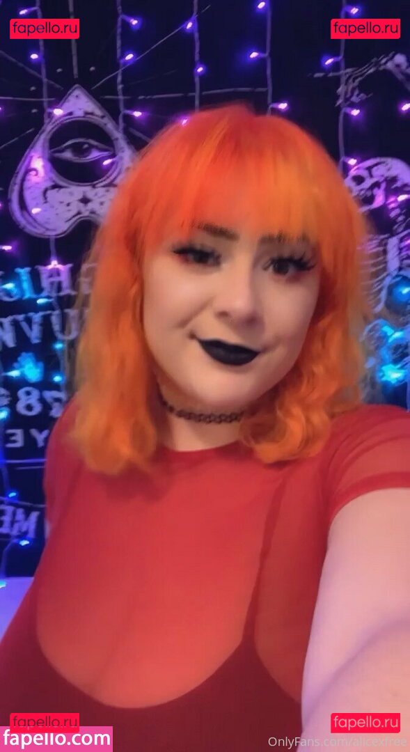 alicexfree / alxcext Onlyfans Photo Gallery 