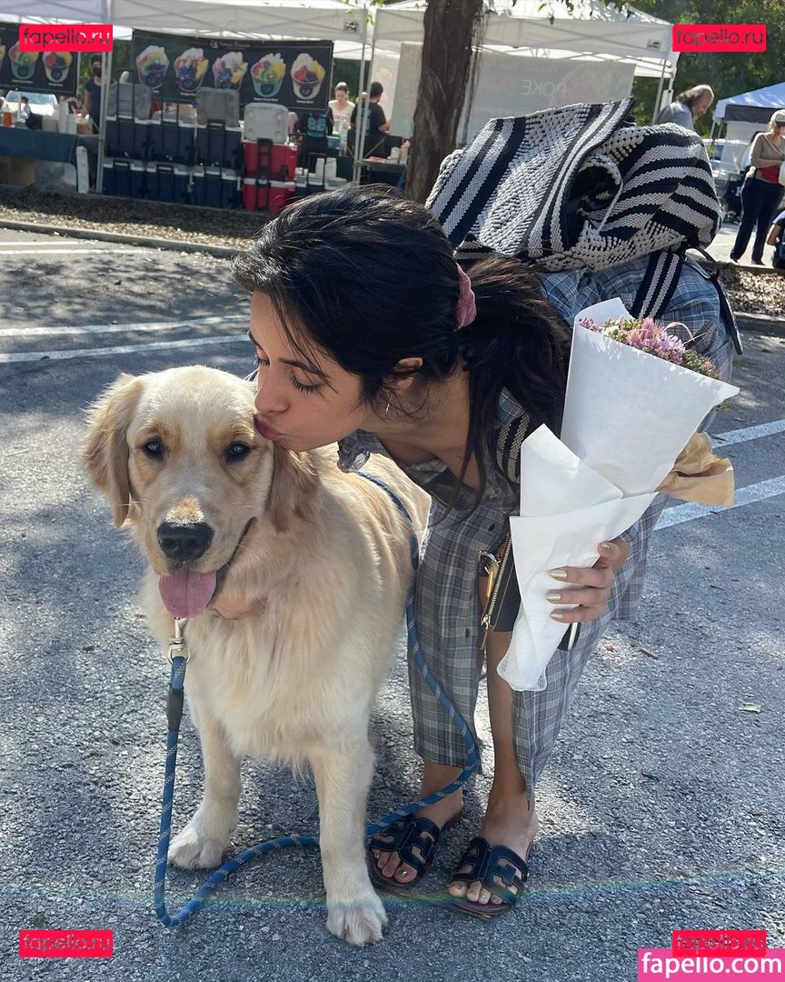 Camila Cabello / Camila_Cabello / camilacabello