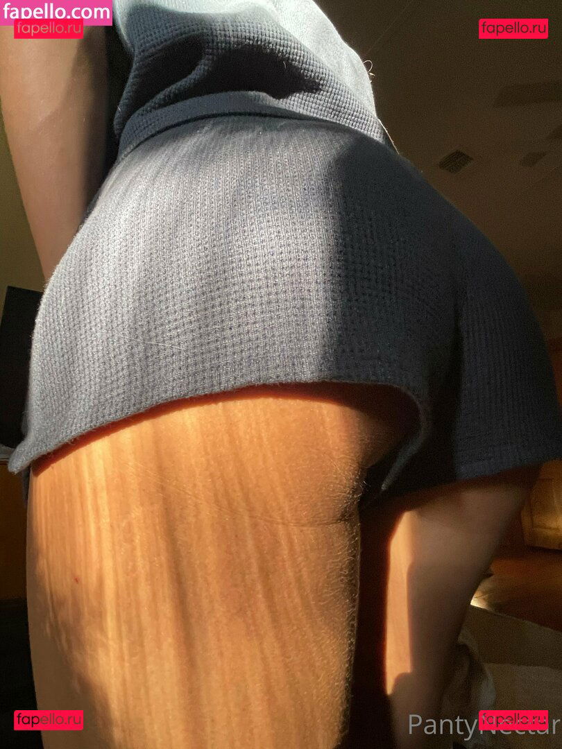 PantyNectar / https: / pantynectarr Onlyfans Photo Gallery 