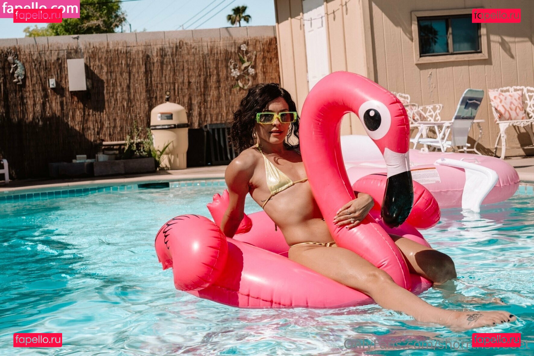 ashleykutcher / shorrtnsweeet Onlyfans Photo Gallery 