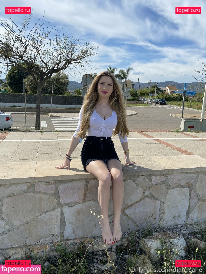 Dianacane1 Nude Onlyfans Photo 48