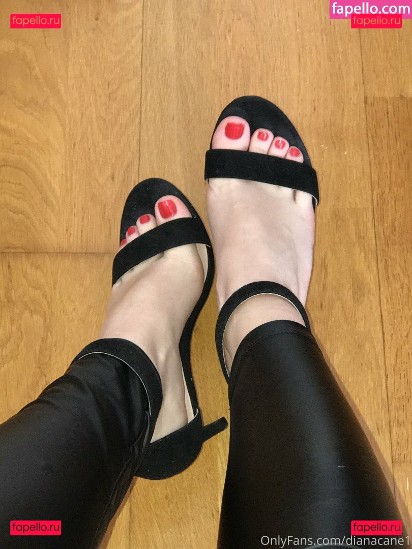 Dianacane1 Nude Onlyfans Photo 42