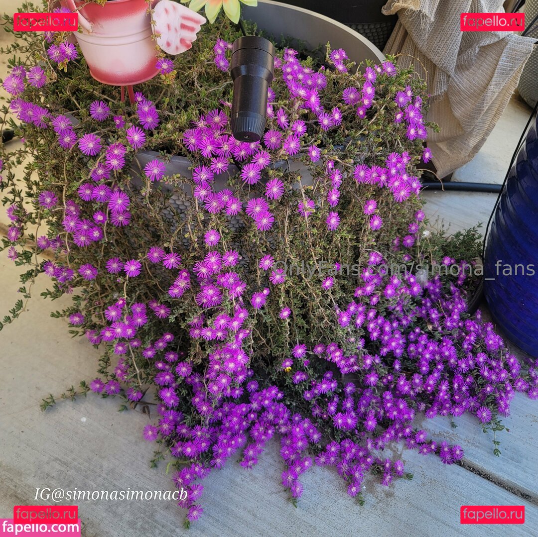 simona_fans Nude Onlyfans Photo 18