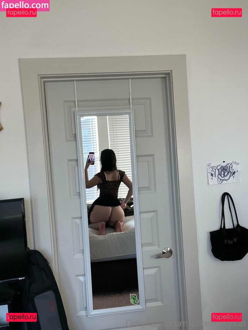 pixelkittykat Onlyfans Photo Gallery 