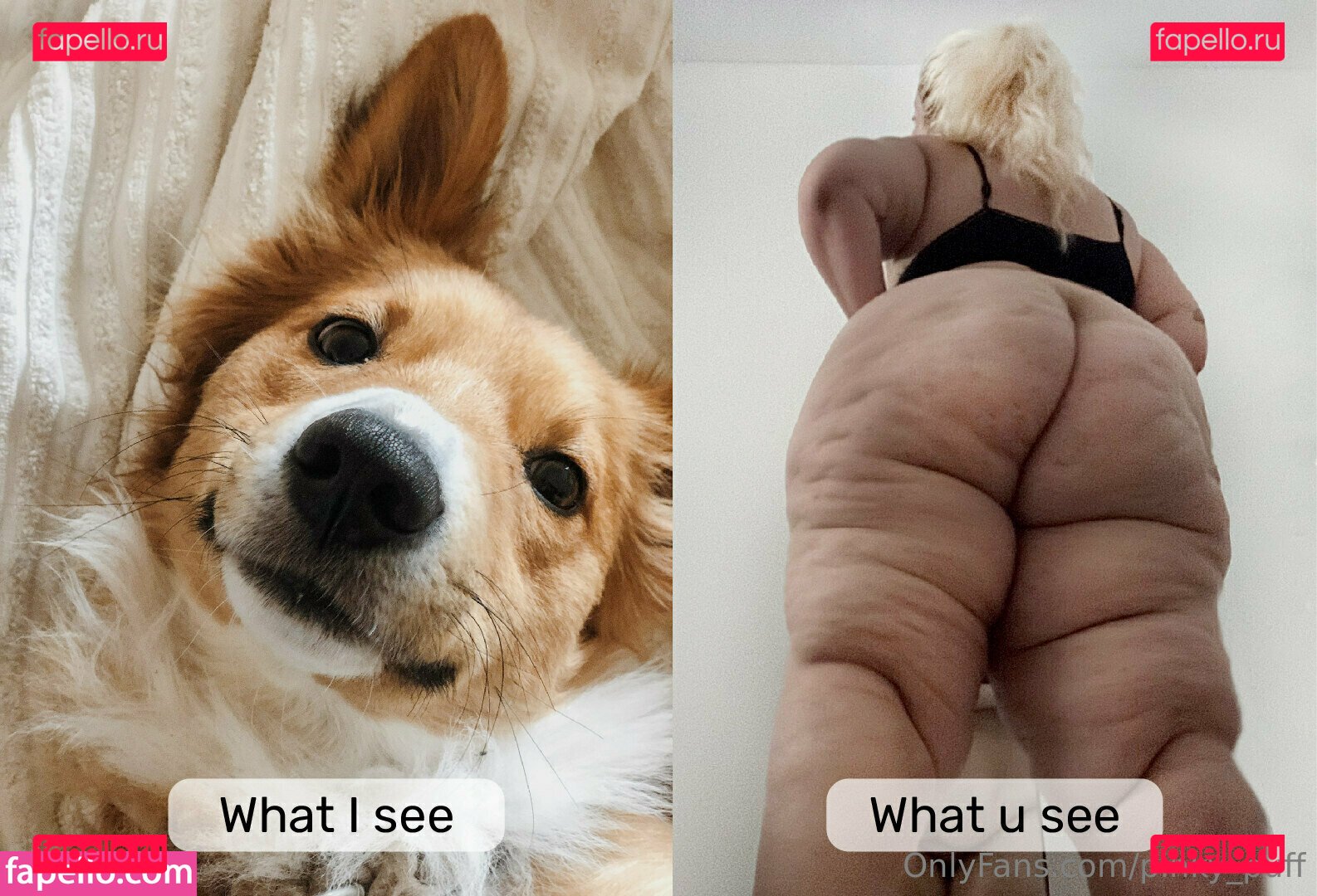 pinky_puff / pinky_puff_ Onlyfans Photo Gallery 