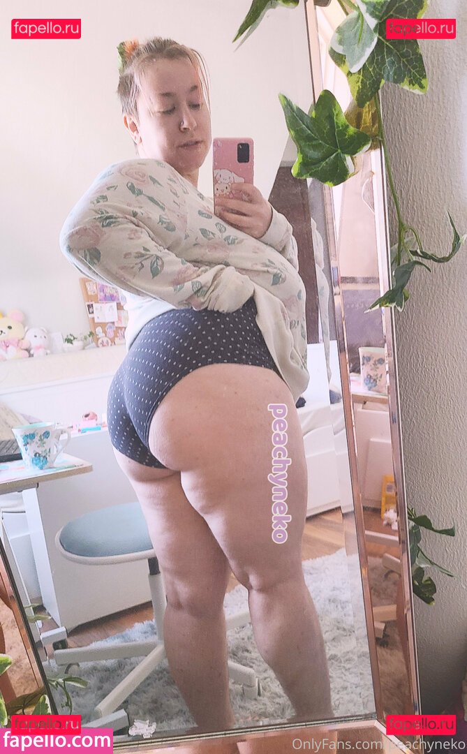 peachyneko Nude Onlyfans Photo 43