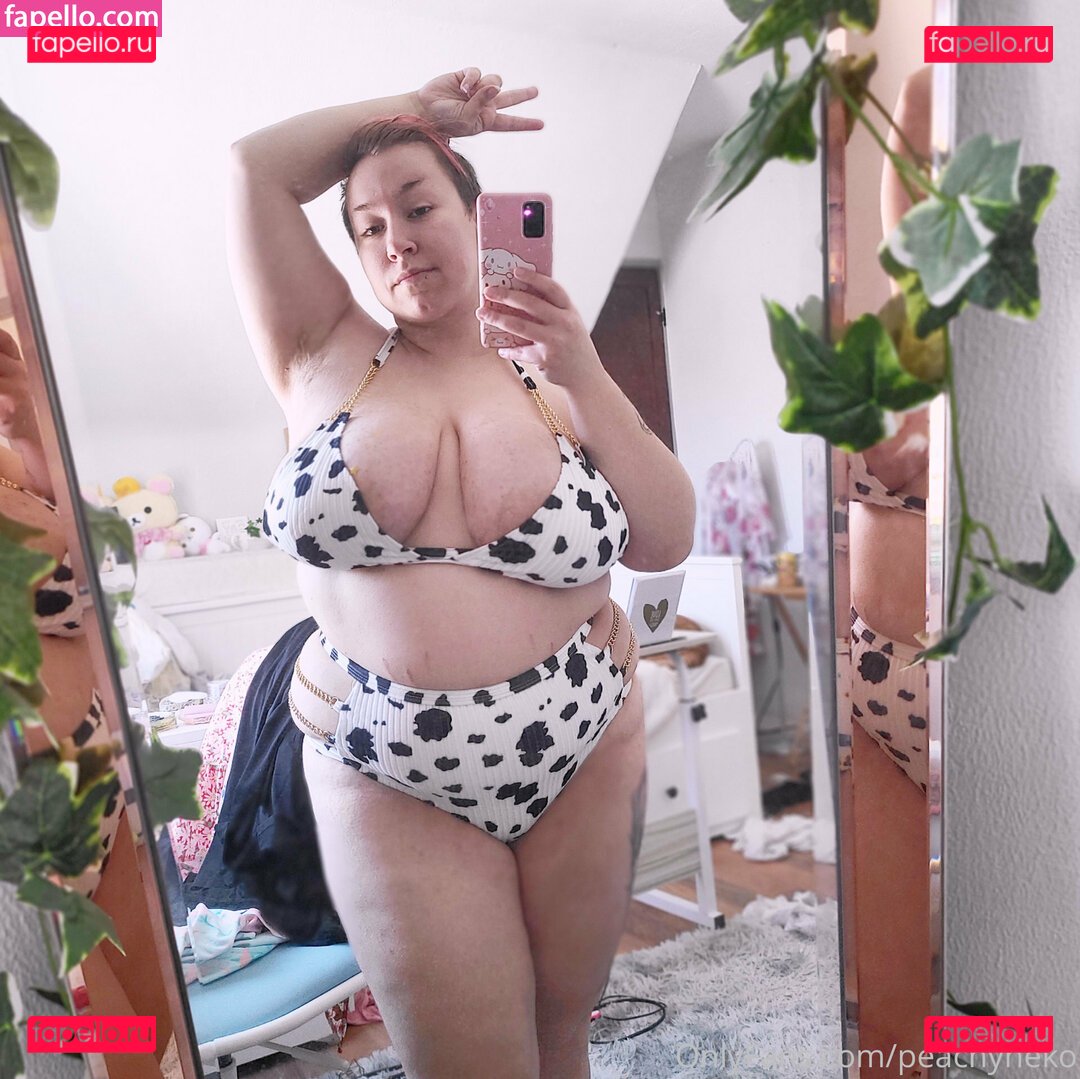peachyneko Nude Onlyfans Photo 29