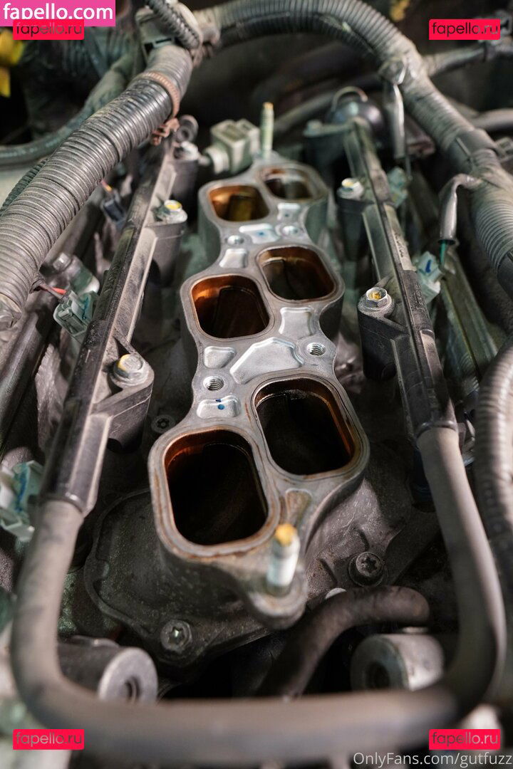 gutchan / gutfuzz Onlyfans Photo Gallery 