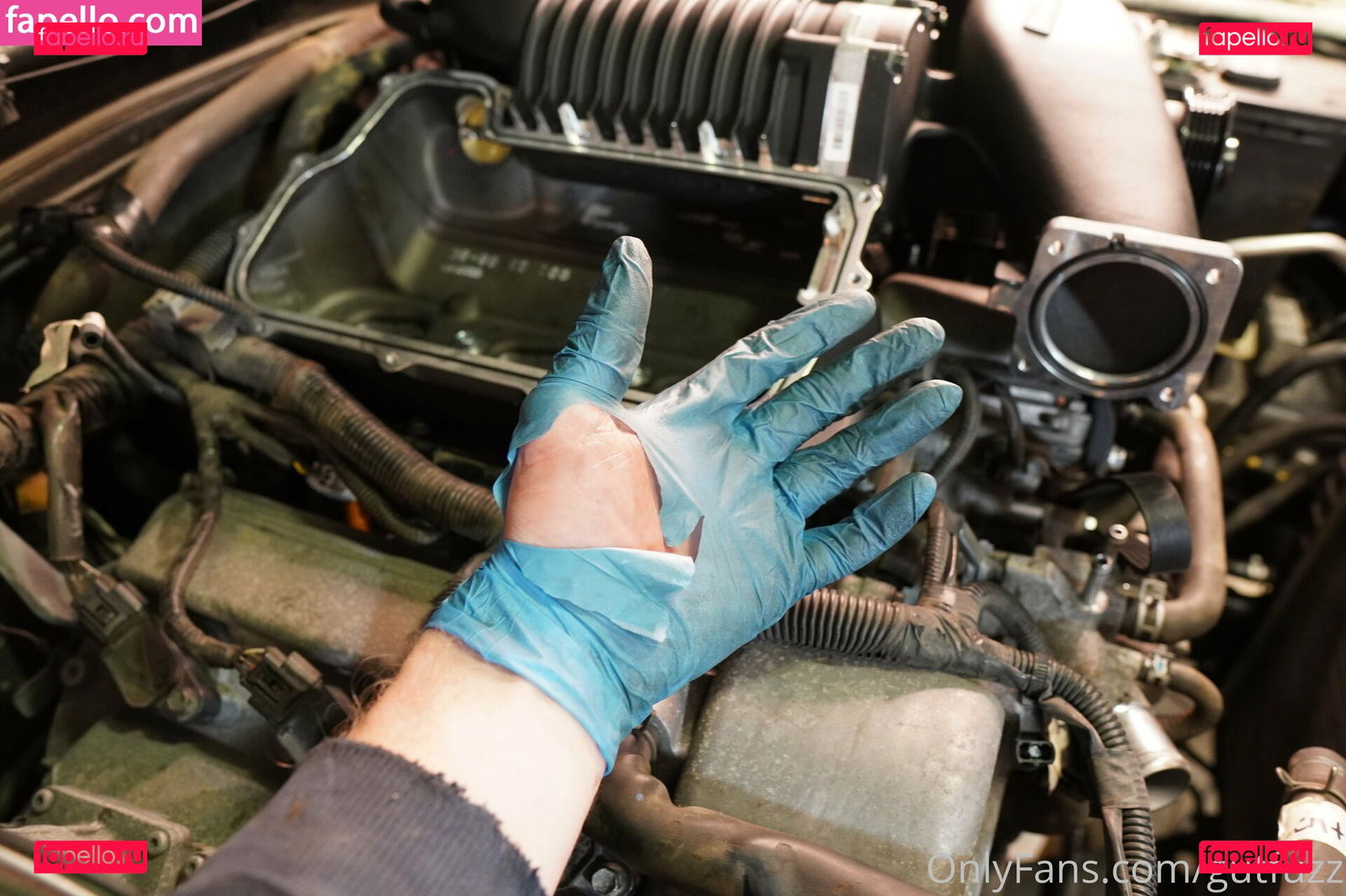 gutchan / gutfuzz Onlyfans Photo Gallery 