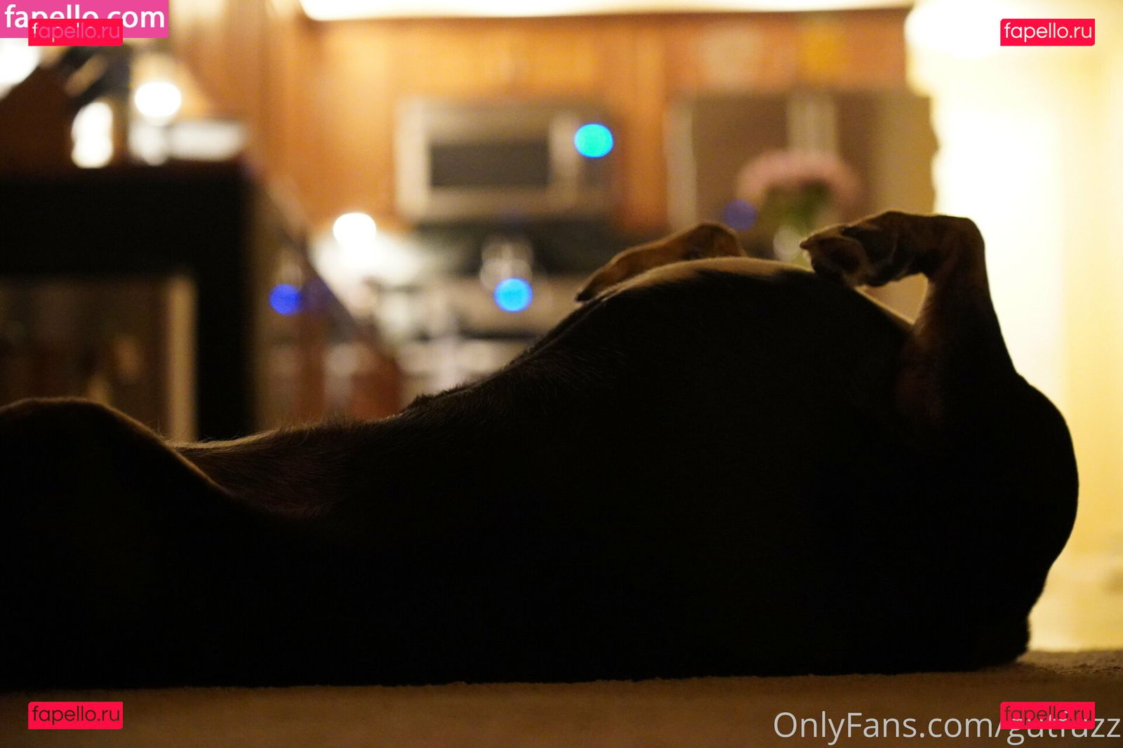 gutchan / gutfuzz Onlyfans Photo Gallery 