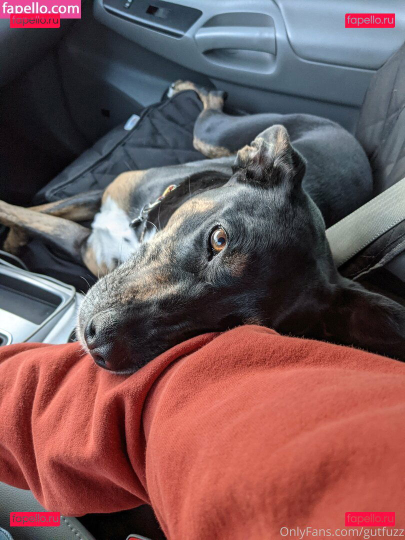 gutchan / gutfuzz Onlyfans Photo Gallery 