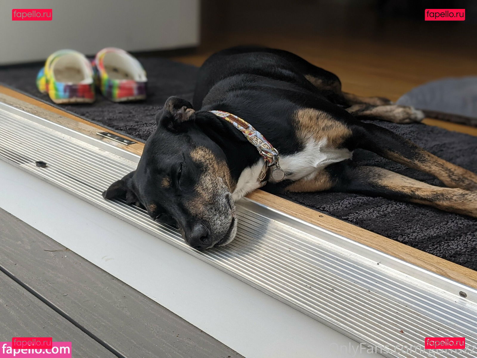 gutchan / gutfuzz Onlyfans Photo Gallery 