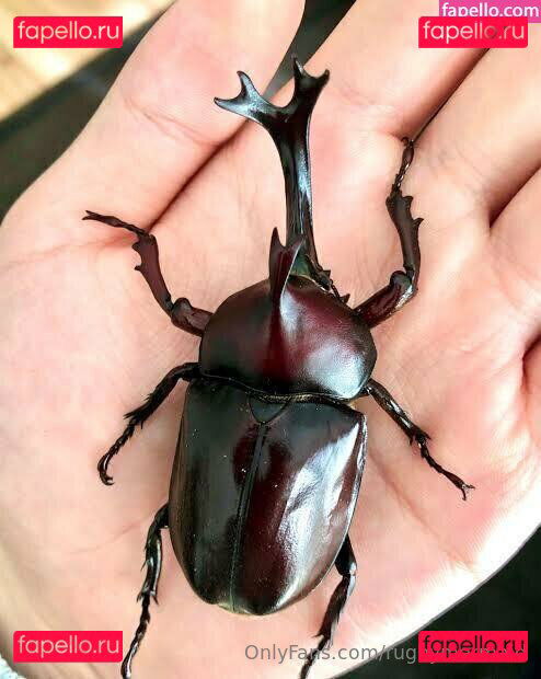 rugbymermaid Onlyfans Photo Gallery 