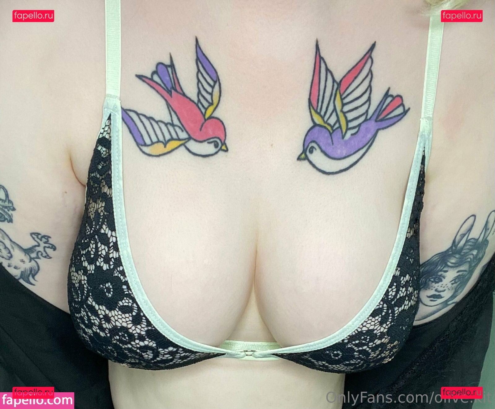 olivekit / olivekitx Onlyfans Photo Gallery 