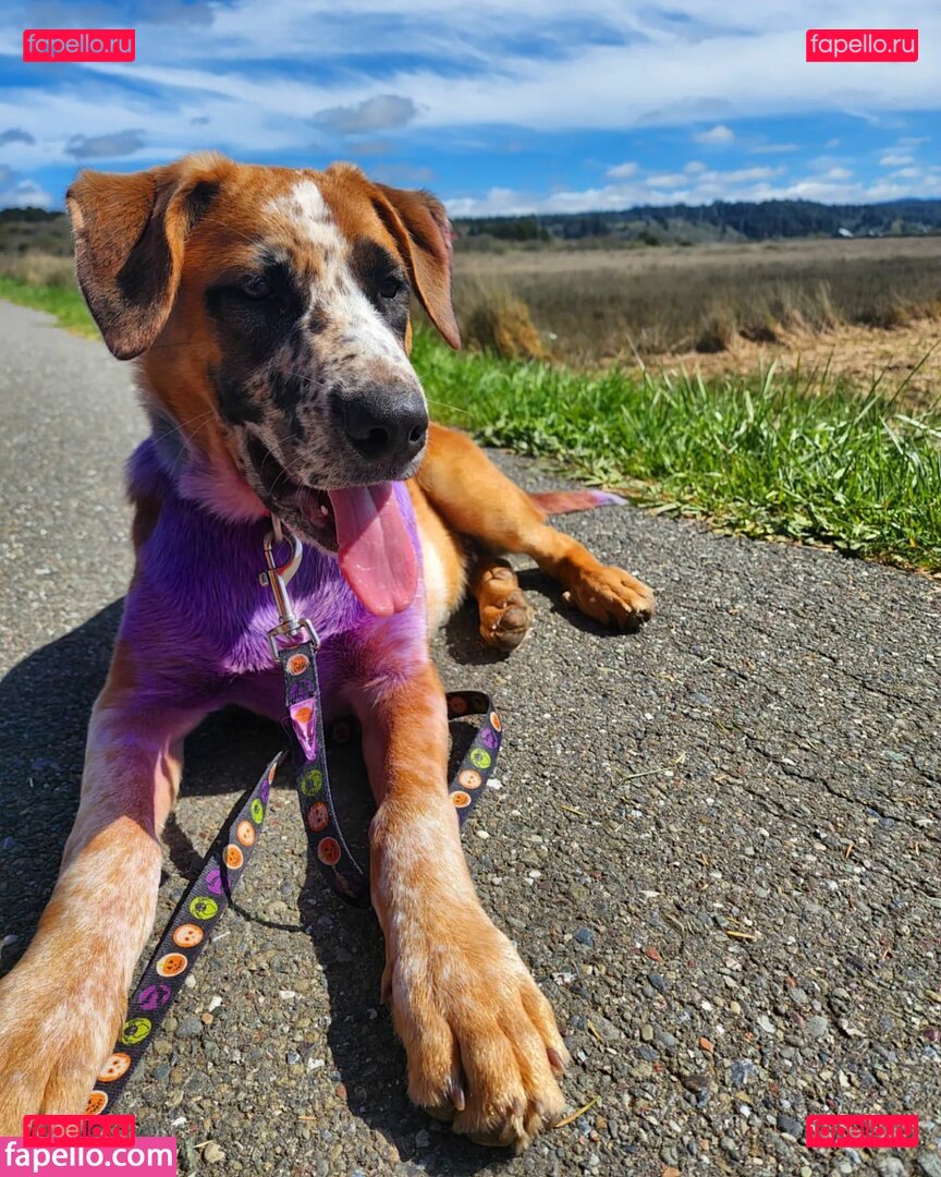 Sky Burrito / burritoirl / https: / skyburrito Onlyfans Photo Gallery 