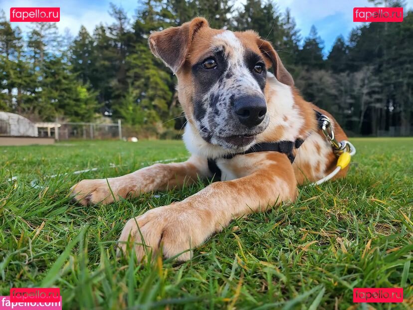 Sky Burrito / burritoirl / https: / skyburrito Onlyfans Photo Gallery 