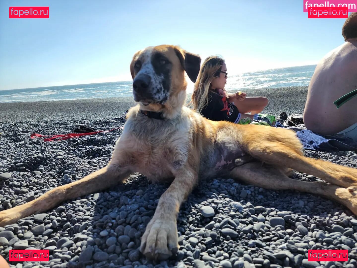 Sky Burrito / burritoirl / https: / skyburrito Onlyfans Photo Gallery 