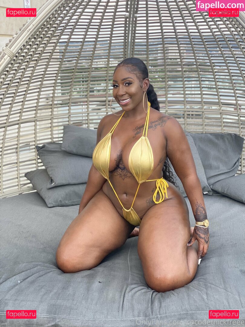 cocodethickfreee Nude Onlyfans Photo 16