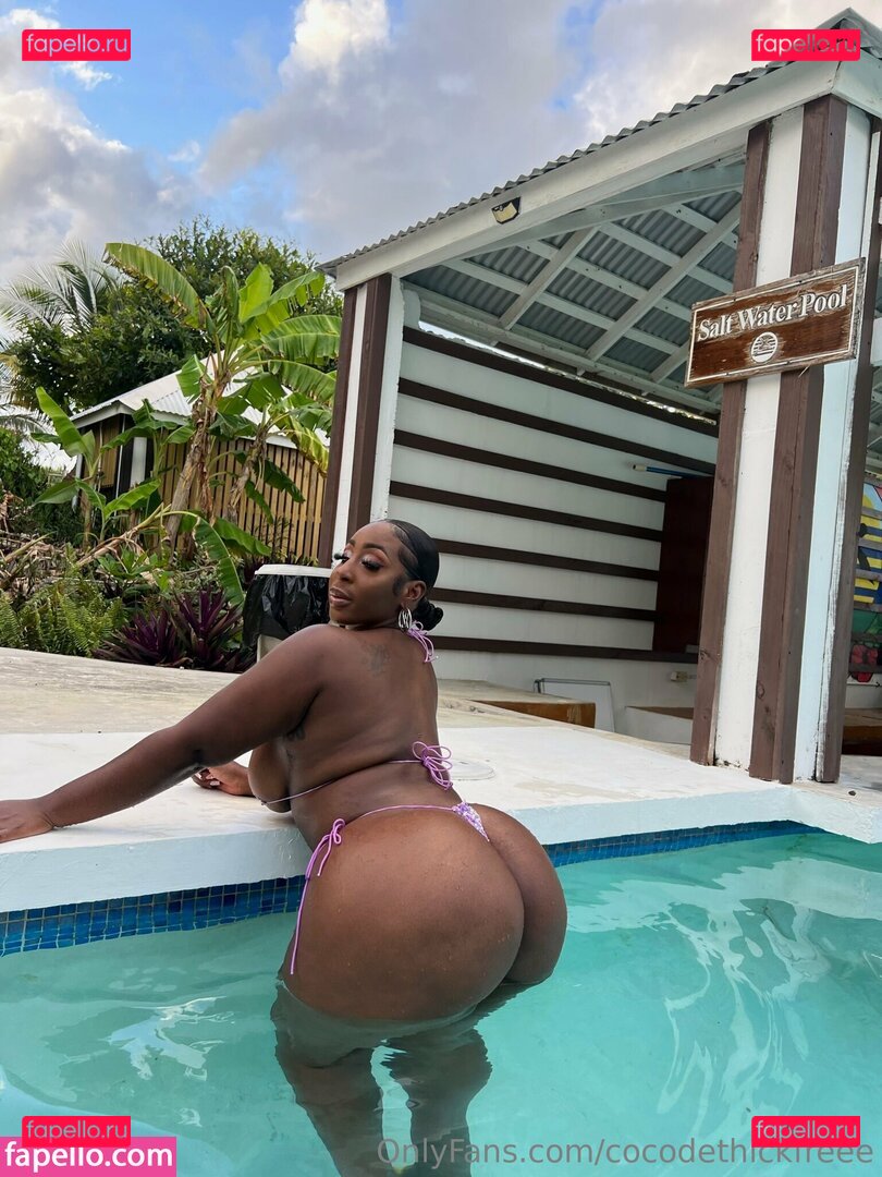 cocodethickfreee Nude Onlyfans Photo 14