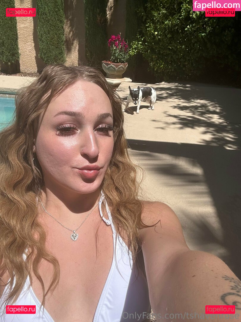 lifeofhavenrose Nude Onlyfans Photo 17