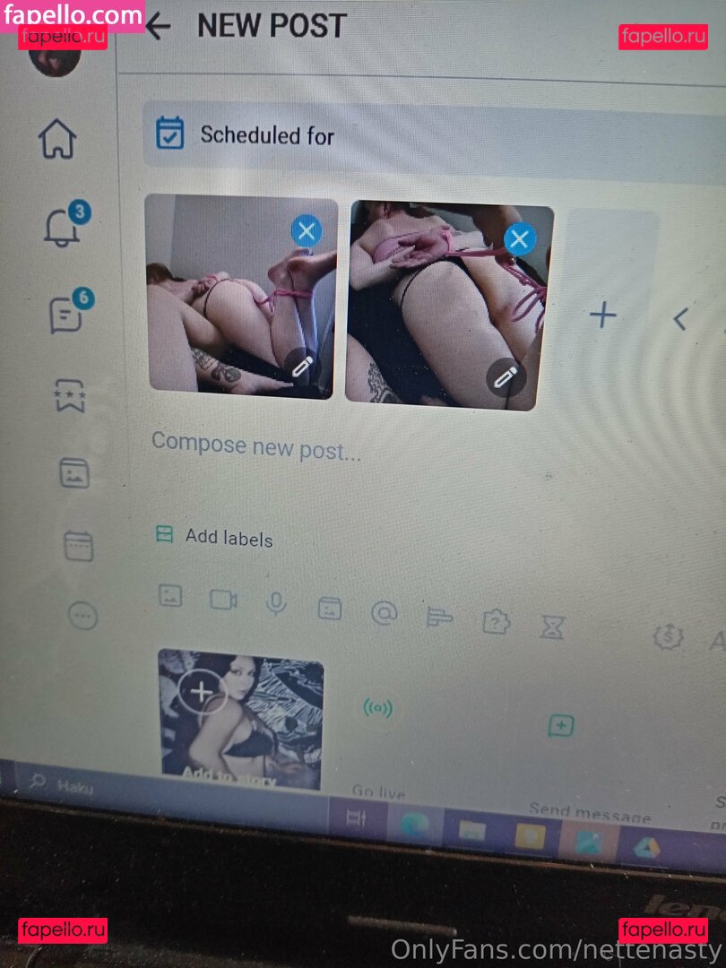 nettenasty Onlyfans Photo Gallery 