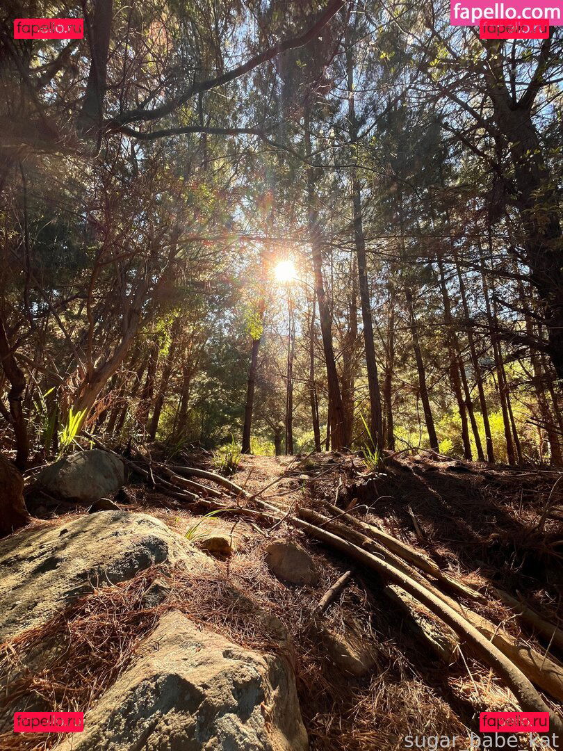 sugar_babe_kat / sugar_babe_kat_ Onlyfans Photo Gallery 