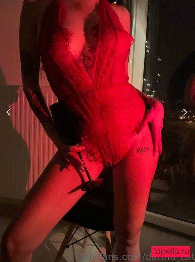 darina_cat Nude Onlyfans Photo 4
