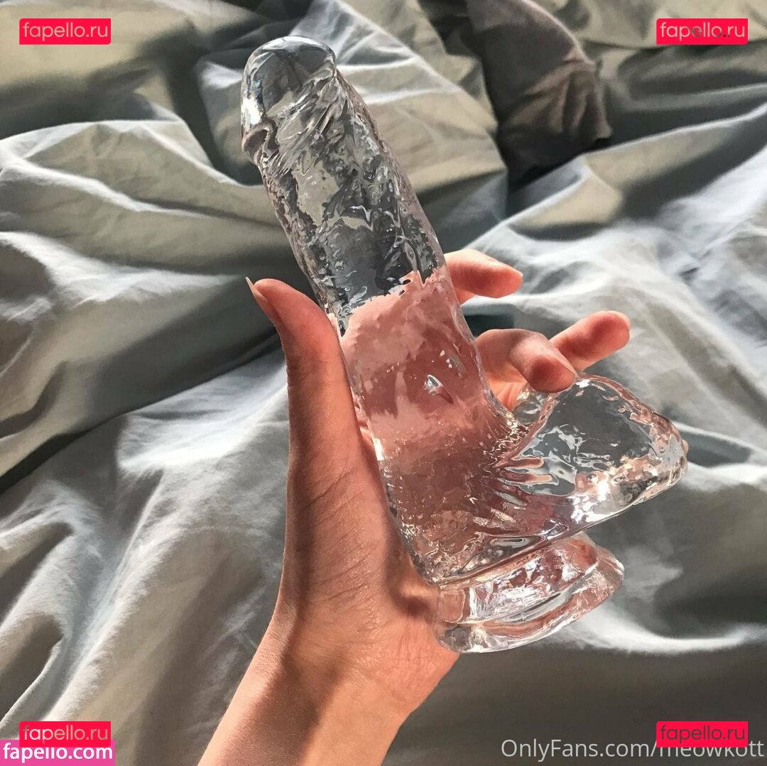 meowkott Nude Onlyfans Photo 32