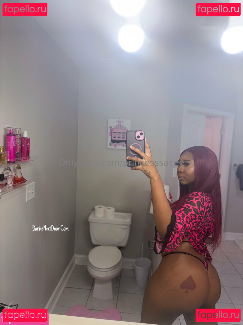 princessace / princesssacee Onlyfans Photo Gallery 