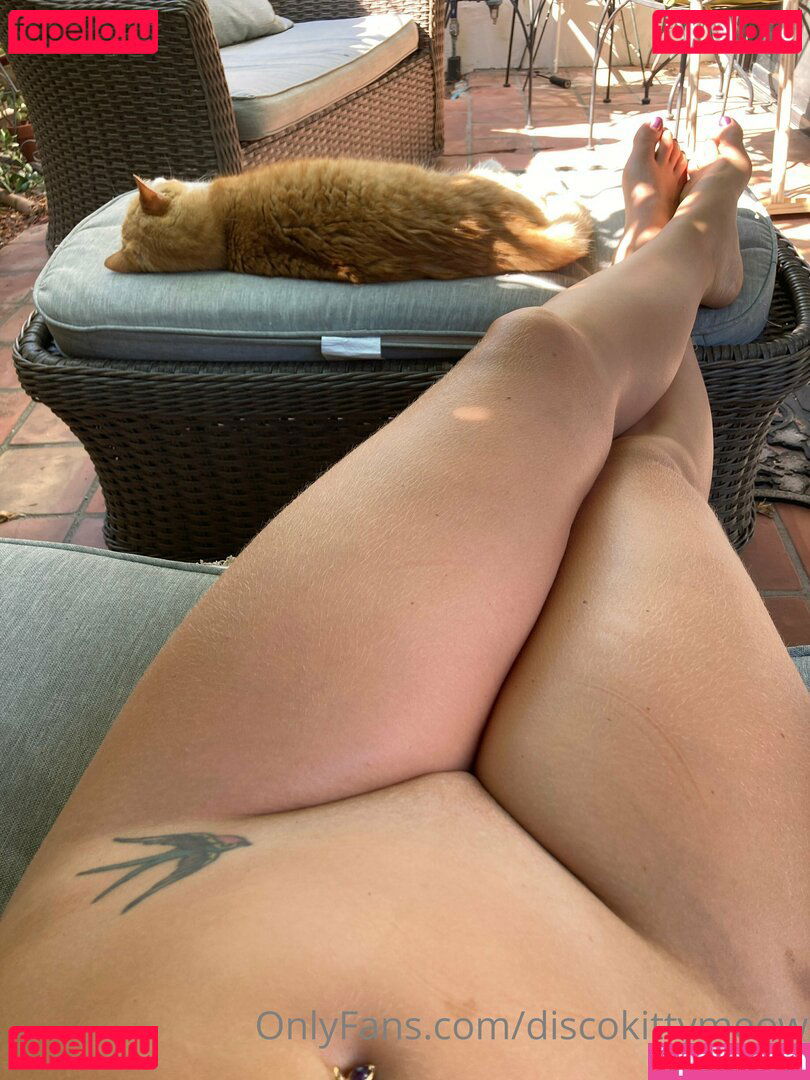 discokittymeow Onlyfans Photo Gallery 