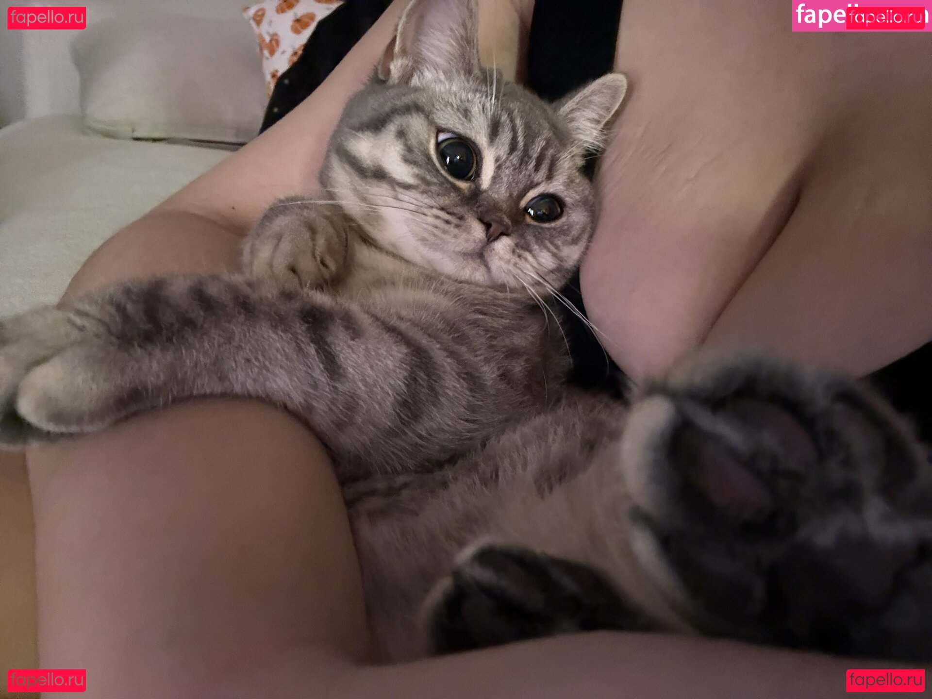 bnymae / https: / kinkykttn / misssrinn / soulreapermae Onlyfans Photo Gallery 