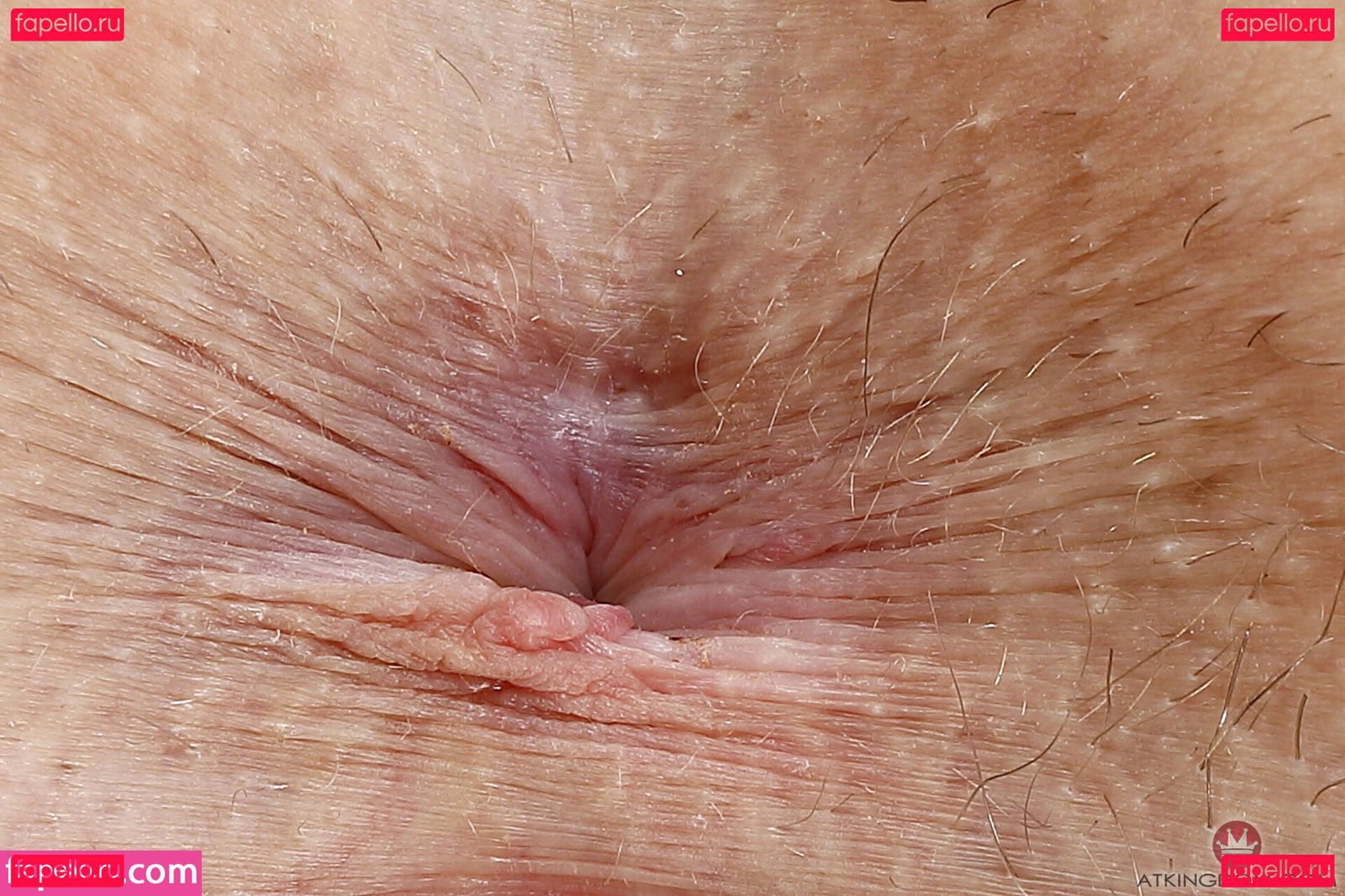 Skye Blue / SkyeBluewrestling / Skyebluewantsu / skyebluehatesu Onlyfans Photo Gallery 