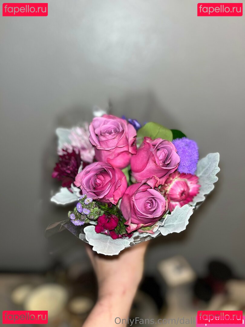 dallasbellafree Onlyfans Photo Gallery 