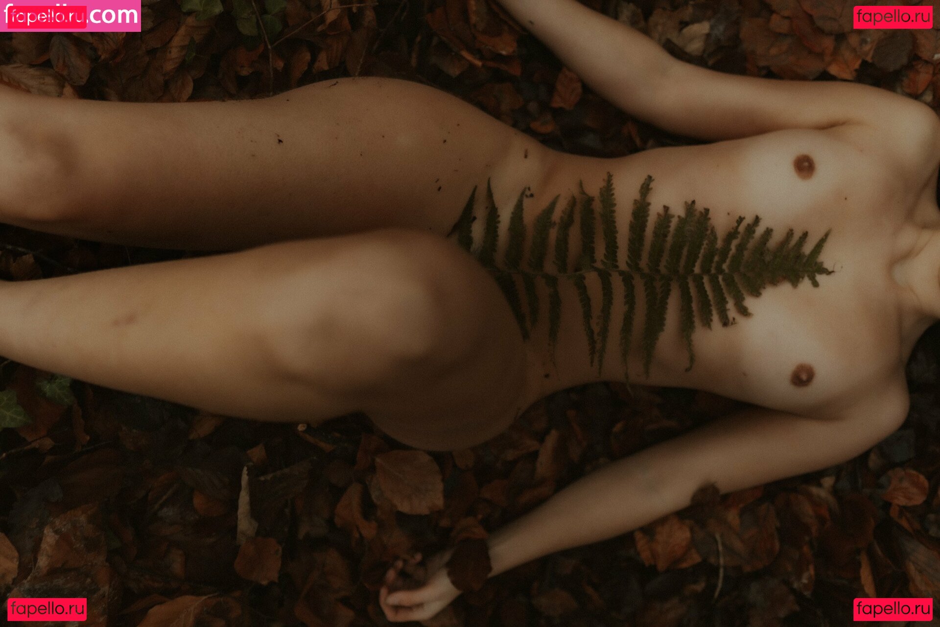 Jessica Ann / aria_uncensored / crzypnda / jessicaann / stories Onlyfans Photo Gallery 