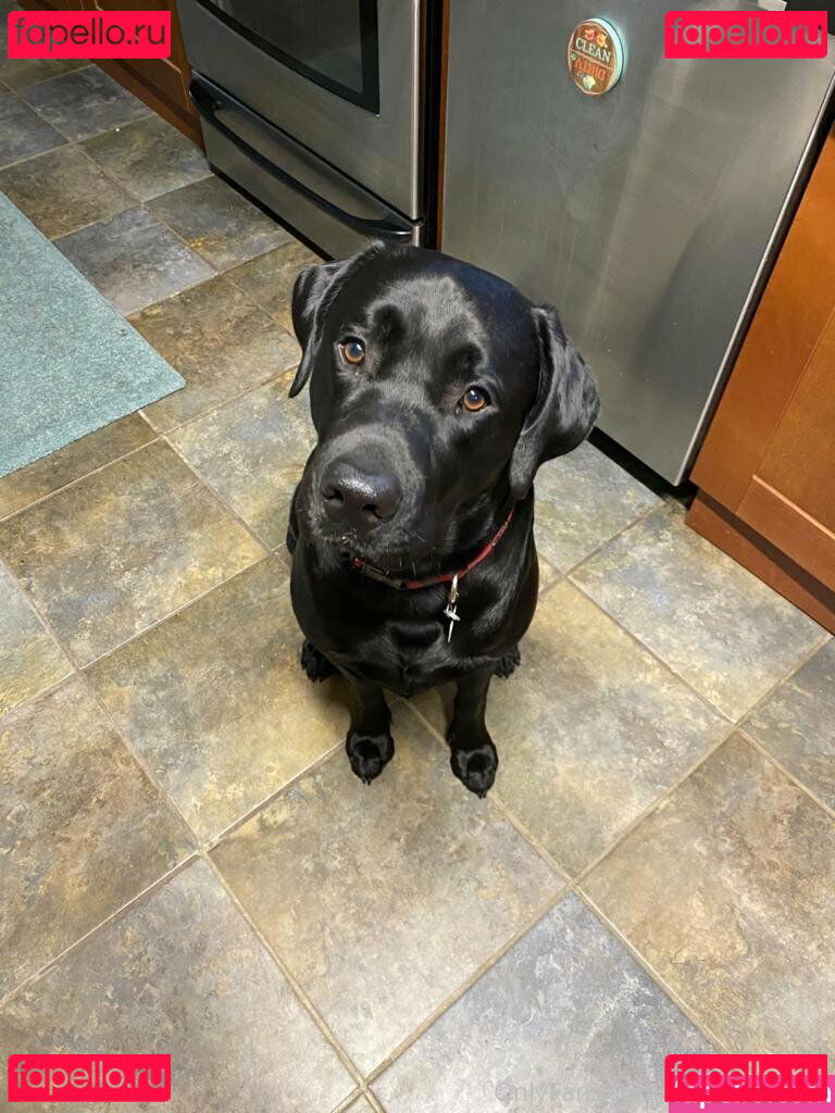 Dylan James / dylanjamesr / dylanjamesxo Onlyfans Photo Gallery 