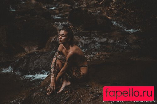 _volchara Nude Onlyfans Photo 45
