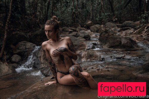 _volchara Nude Onlyfans Photo 41