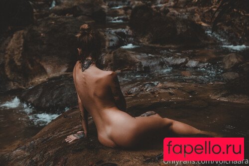 _volchara Nude Onlyfans Photo 38