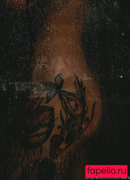 _volchara Nude Onlyfans Photo 30