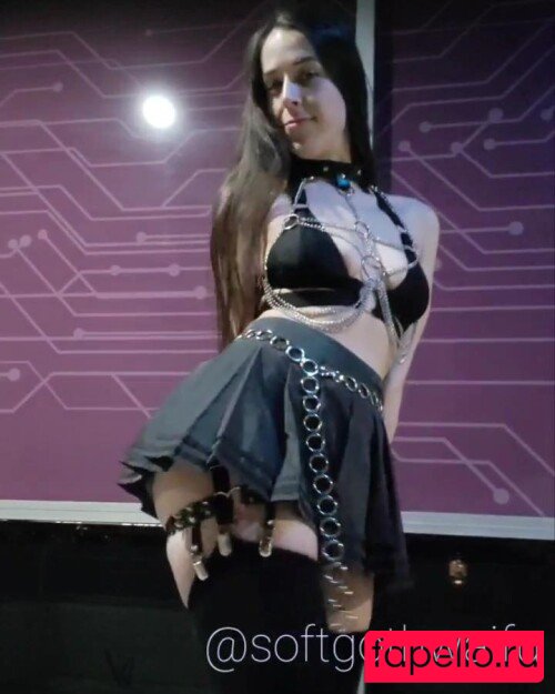 softgothrin Nude Onlyfans Photo 247
