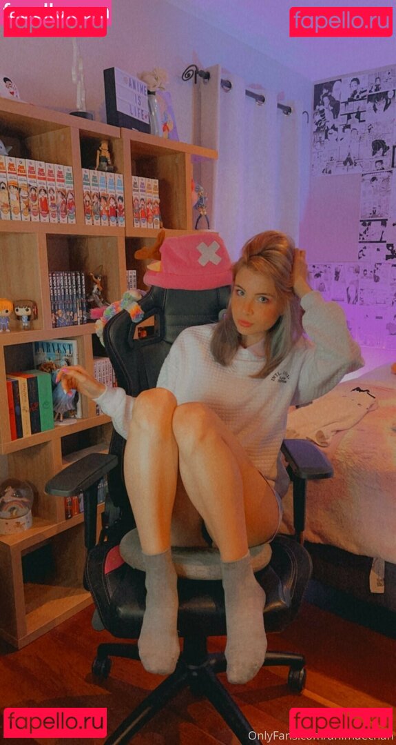 Animaechan / kt_maechan Onlyfans Photo Gallery 