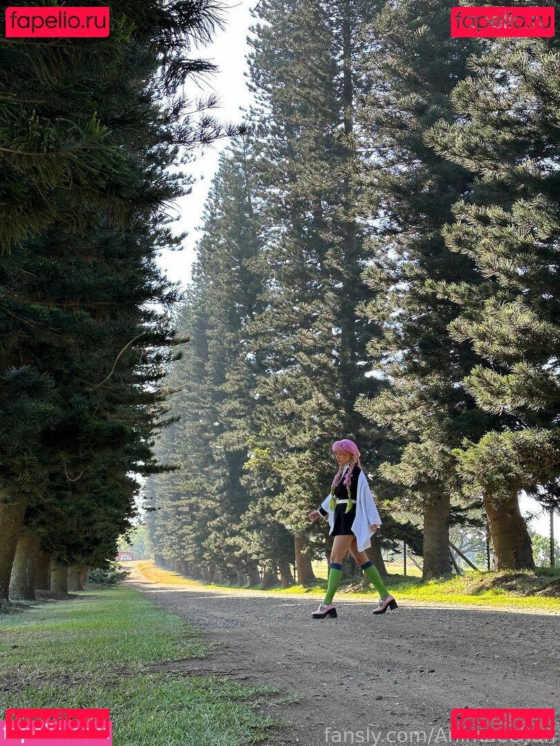 Animaechan / kt_maechan Onlyfans Photo Gallery 