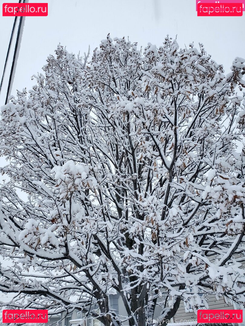 brihanna_babe Onlyfans Photo Gallery 