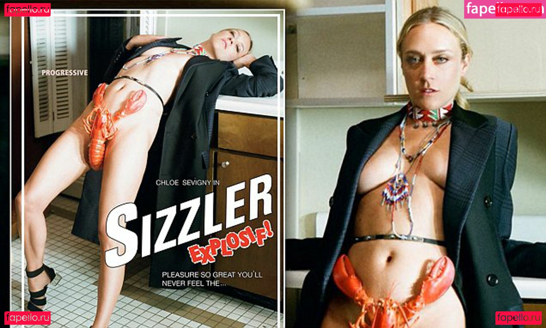 Chloe Sevigny Nude Onlyfans Photo 5