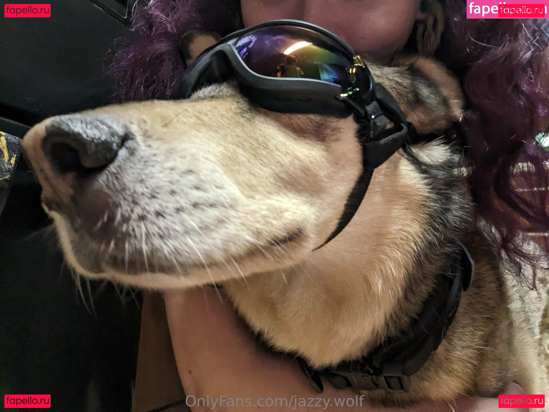 jazzy.wolf / theproxywolf5 Onlyfans Photo Gallery 